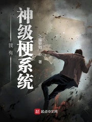 񼶹ϵͳ