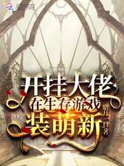 ҴϷװ