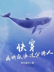 촩ɹ