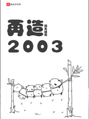 2003