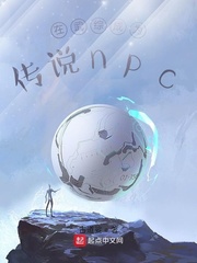 ۳Ϊ˵npc