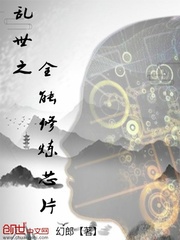 ֮ȫоƬ