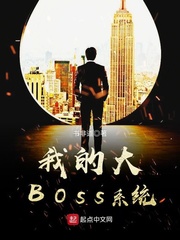 ҵĴBOSSϵͳ
