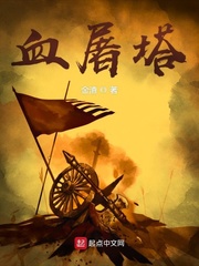 ӿ֮