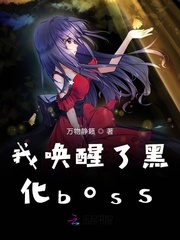һ˺ڻboss