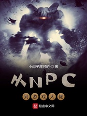 NPCϷ